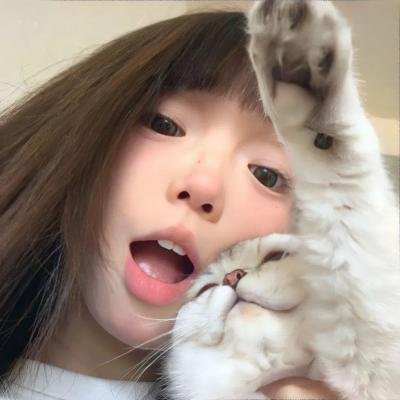 年度精选
